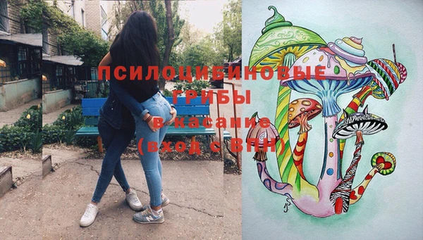 таблы Приозерск