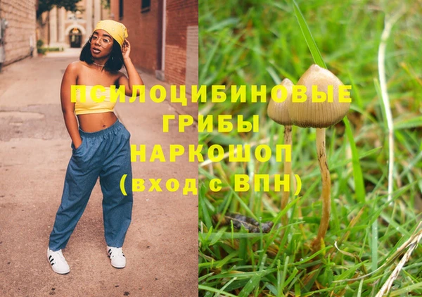 гидра Пролетарск