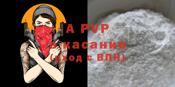 гашик Янаул
