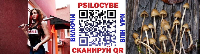 Псилоцибиновые грибы Psilocybine cubensis  Острогожск 